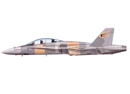 Kuwaiti F/A-18