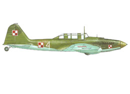 Il-2UT Trainer Verion, Polish