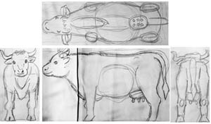 cow drawing