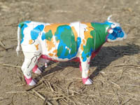 cow testbuild from right side