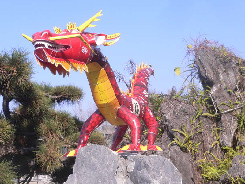 lucky-dragon at 800px