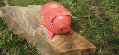 Lucky Pig on a rock