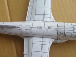 top view closeup of a plane model with a sewing scar visible
