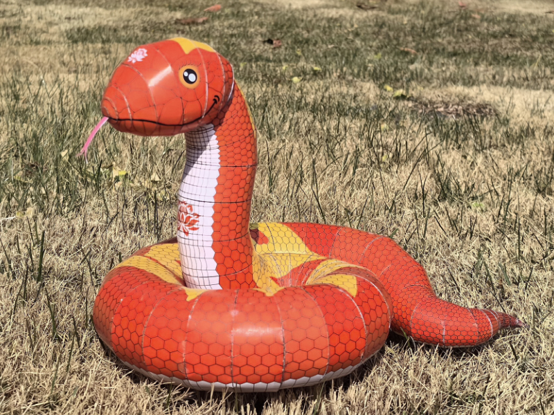 Snake at 800px