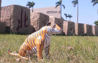 tiger at BNU